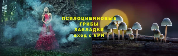 бошки Горняк
