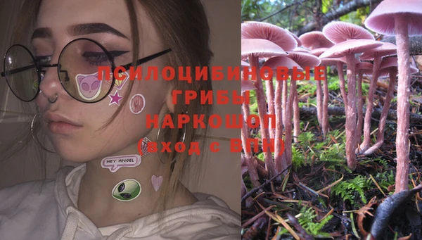 бошки Горняк