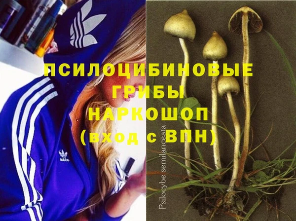 бошки Горняк