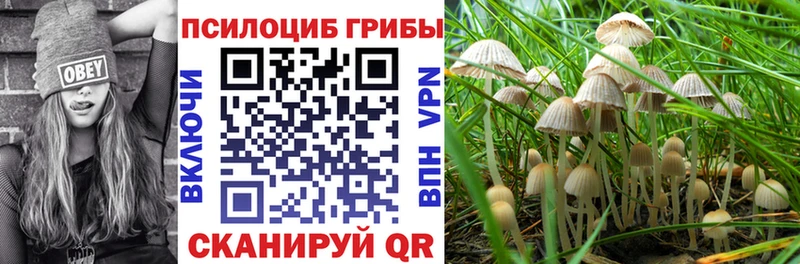 Галлюциногенные грибы GOLDEN TEACHER  Купить где  Бугуруслан 