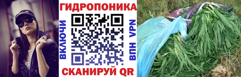МАРИХУАНА SATIVA & INDICA  Купить закладки  Бугуруслан 